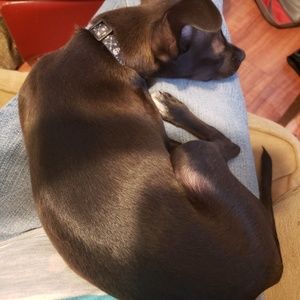 Meet your Posher, Angela